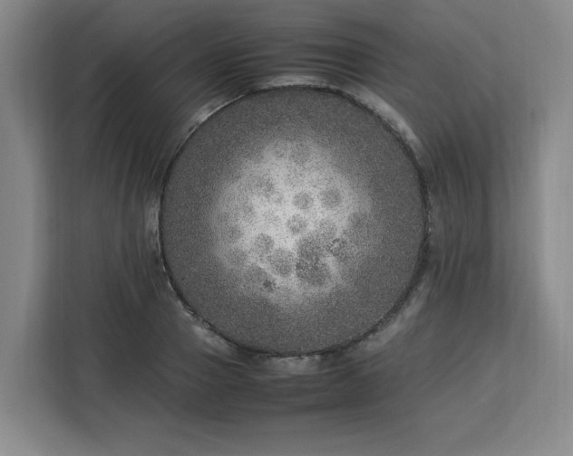 X0000112950937200908311506