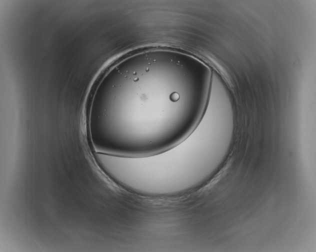 X0000112950940200908311506