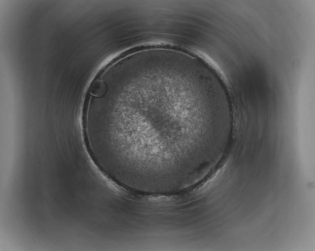 X0000112950943200908311506