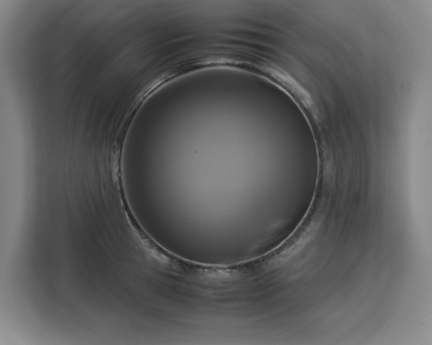 X0000112950945200908311506