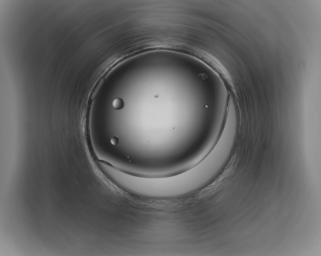 X0000112950946200908311506