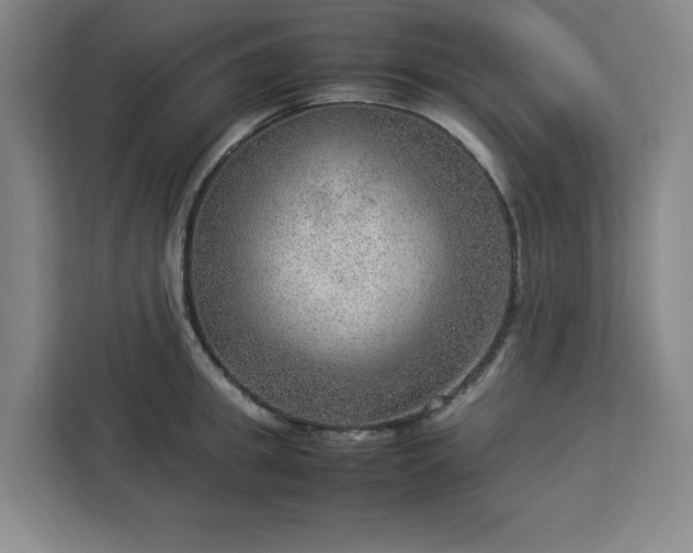 X0000112950949200908311506