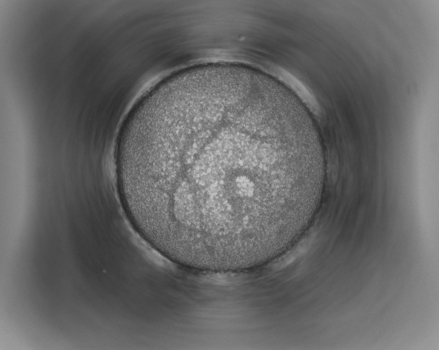 X0000112950950200908311506