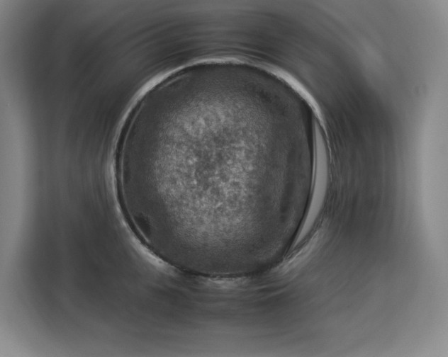 X0000112950951200908311506