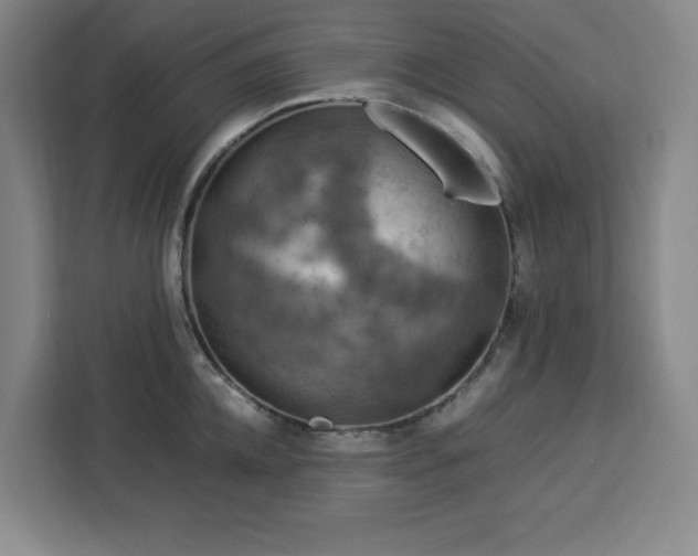 X0000112950952200908311506