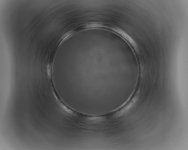 X0000112950953200908311506