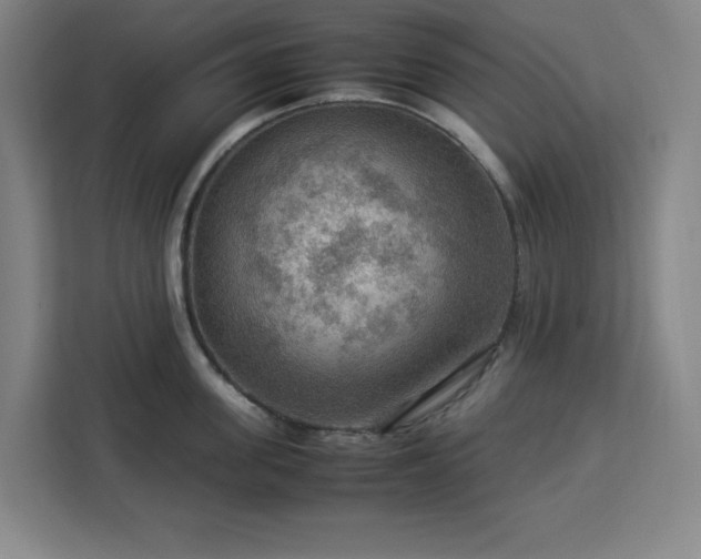 X0000112950955200908311506