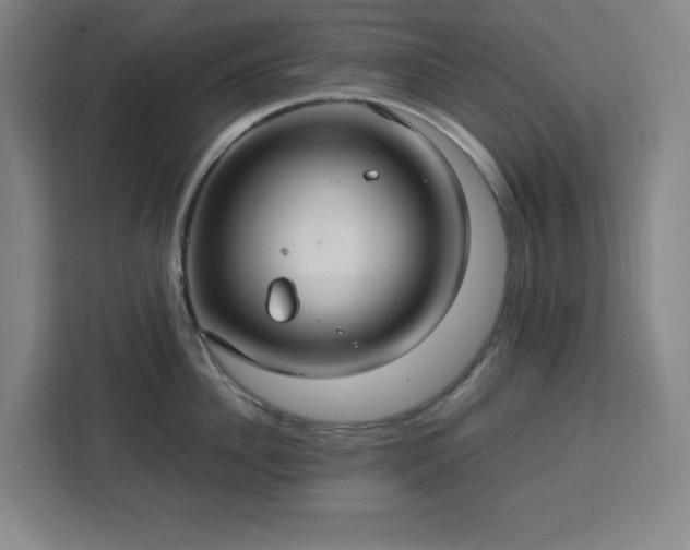 X0000112950956200908311506