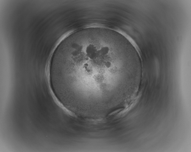 X0000112950957200908311506