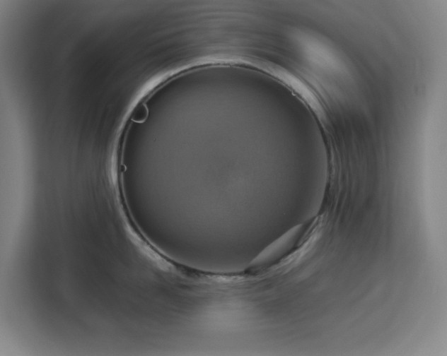 X0000112950958200908311506