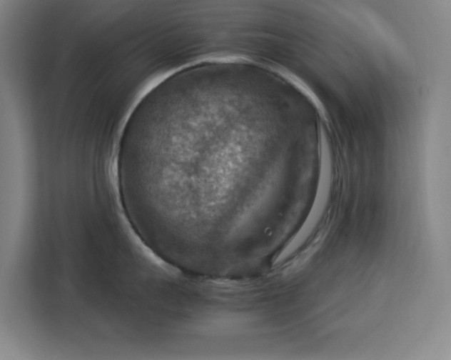 X0000112950959200908311506