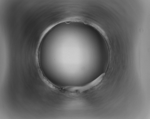 X0000112950960200908311506