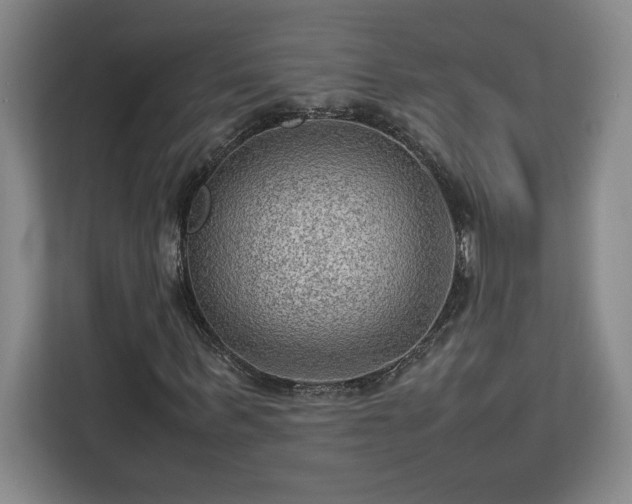 X0000112950963200908311506