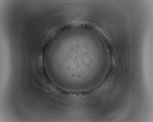 X0000112950964200908311506