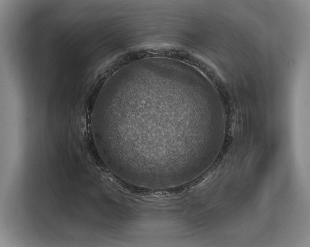 X0000112950966200908311506