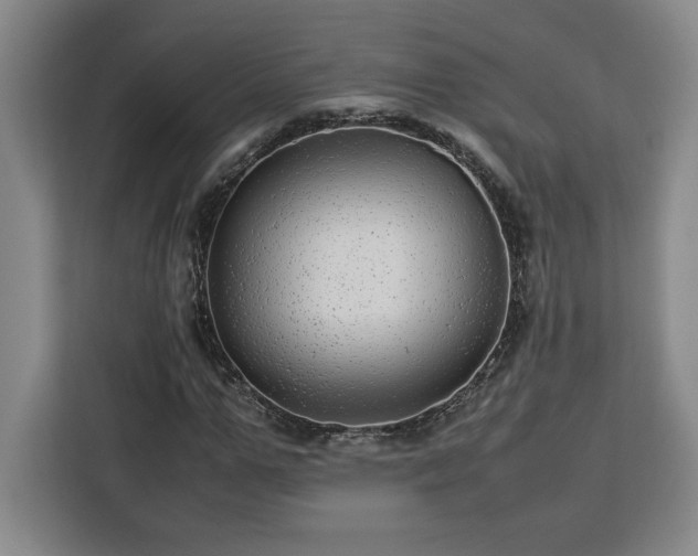 X0000112950967200908311506