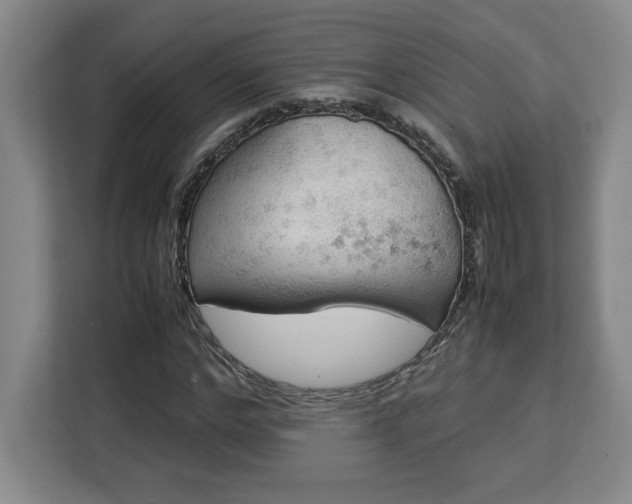 X0000112950968200908311506