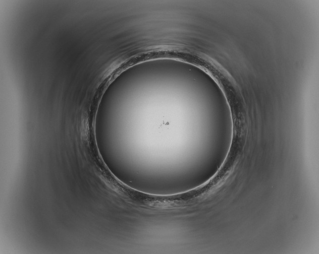 X0000112950969200908311506