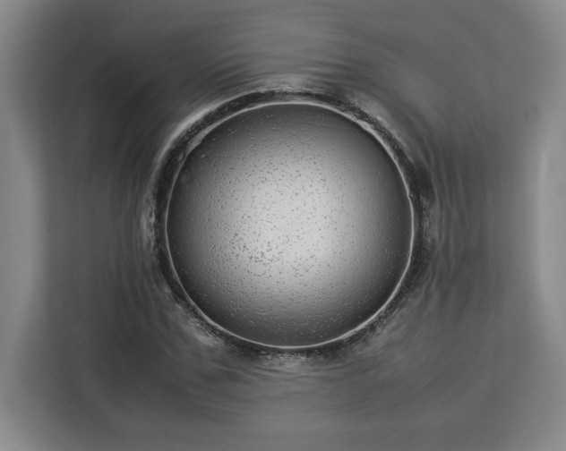 X0000112950971200908311506