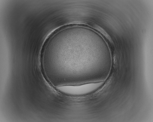 X0000112950972200908311506