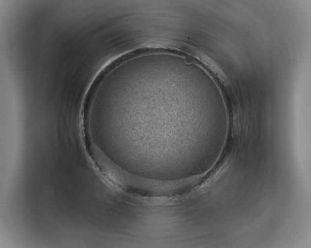 X0000112950976200908311506