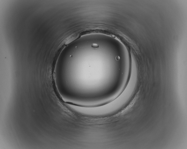 X0000112950977200908311506