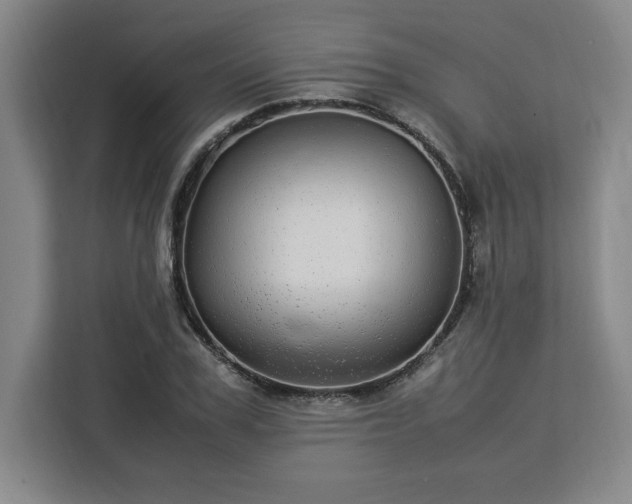 X0000112950979200908311506