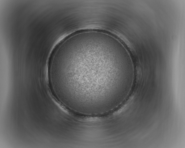 X0000112950982200908311506