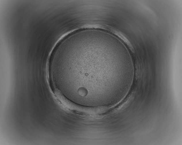 X0000112950984200908311506