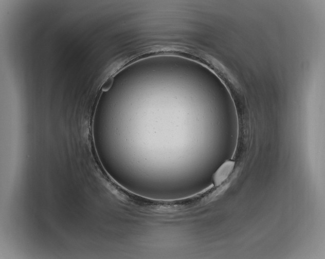 X0000112950985200908311506