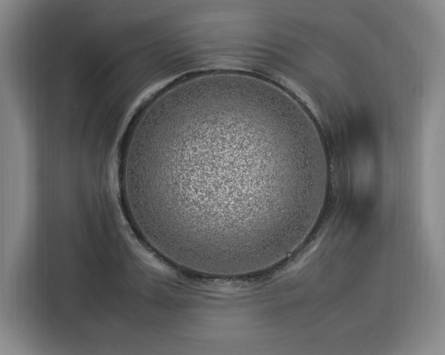 X0000112950987200908311505