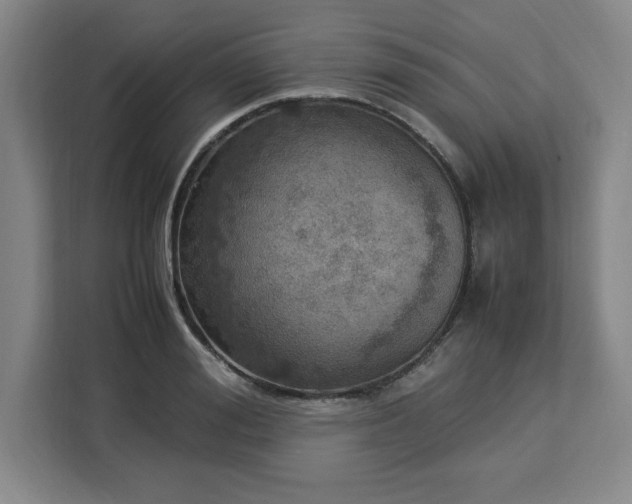 X0000112950988200908311505