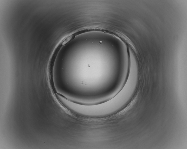 X0000112950989200908311505