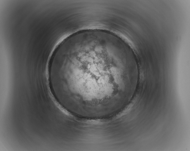 X0000112950990200908311505