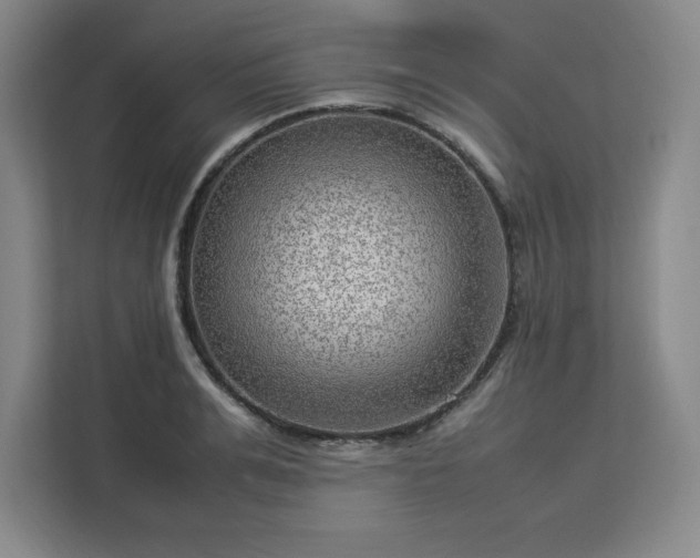 X0000112950991200908311505