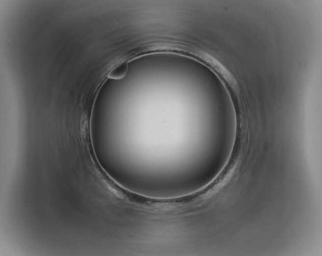 X0000112950993200908311505