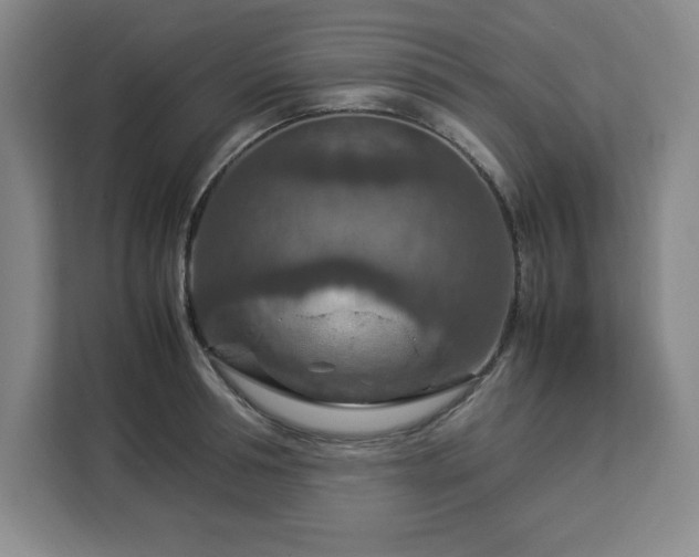 X0000112950994200908311505