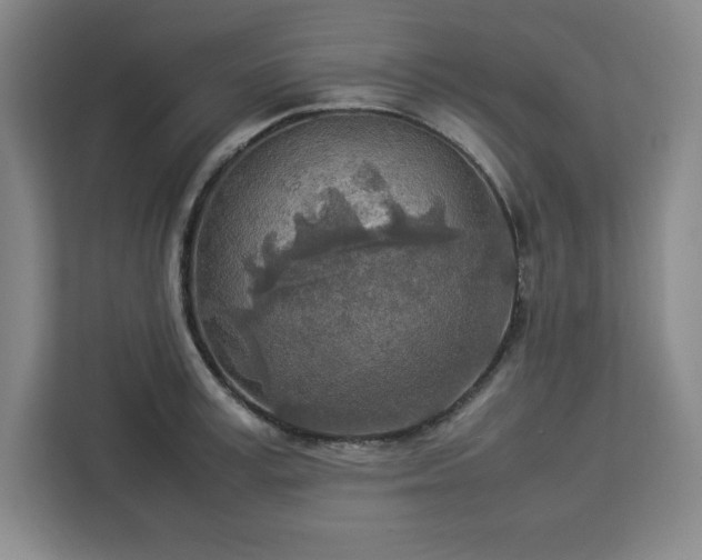 X0000112950995200908311505