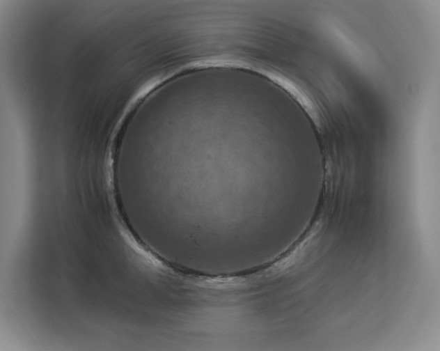 X0000112950998200908311505