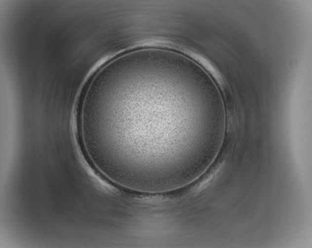 X0000112950999200908311505