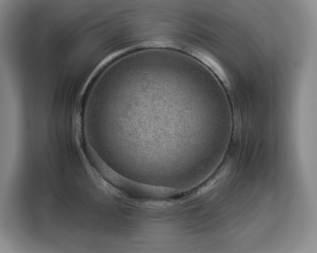 X0000112951000200908311505