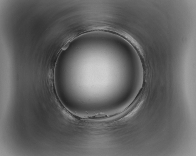 X0000112951001200908311505