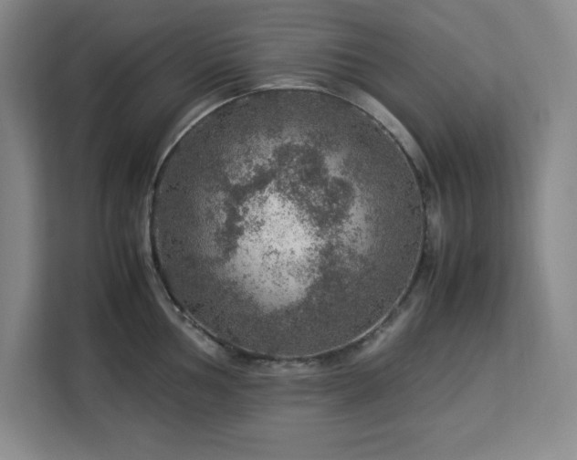 X0000112951002200908311505