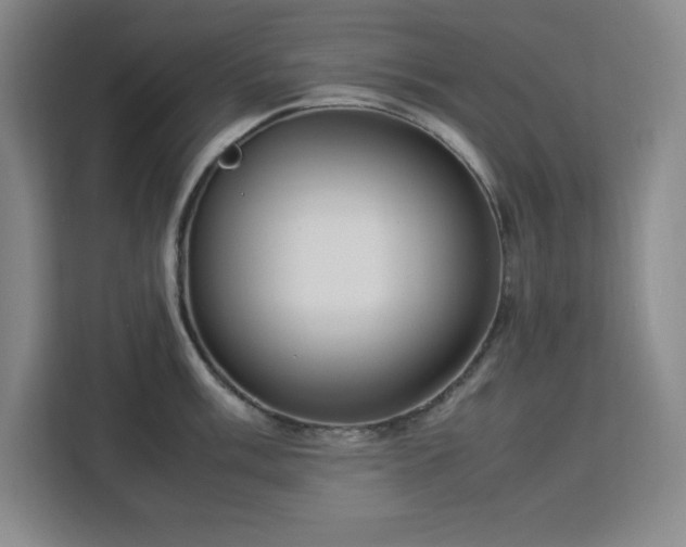 X0000112951003200908311505