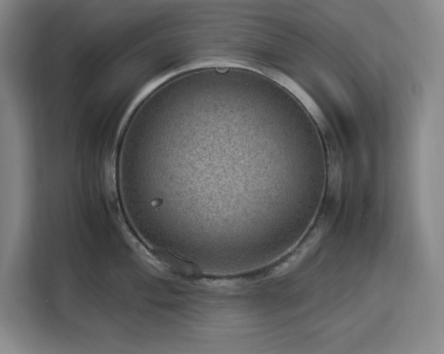 X0000112951004200908311505