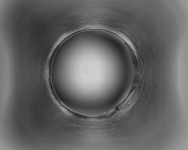 X0000112951005200908311505