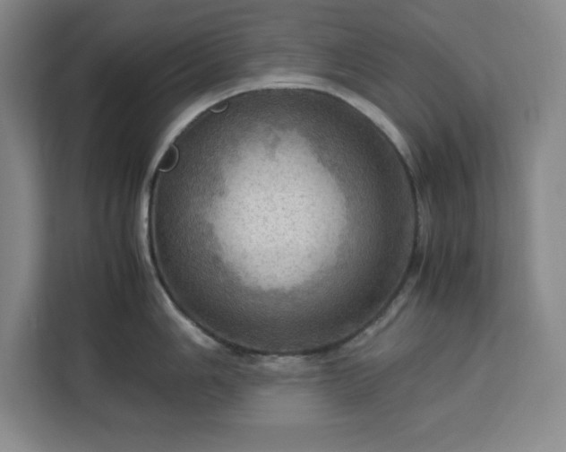 X0000112951006200908311505