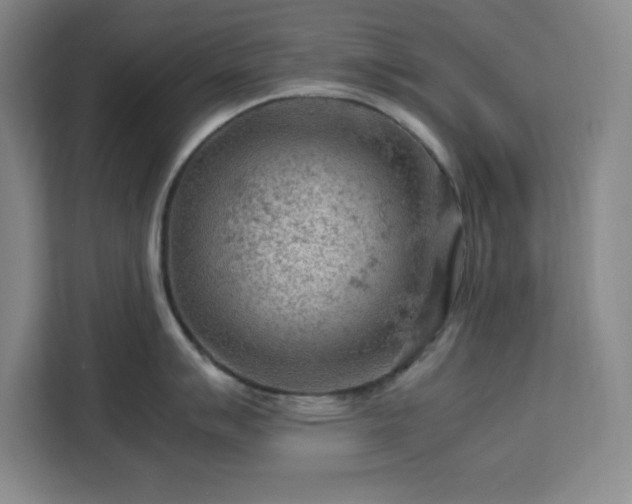 X0000112951007200908311505