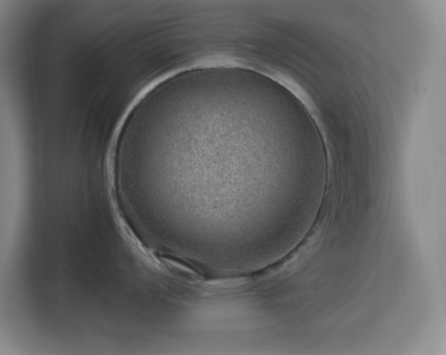 X0000112951008200908311505