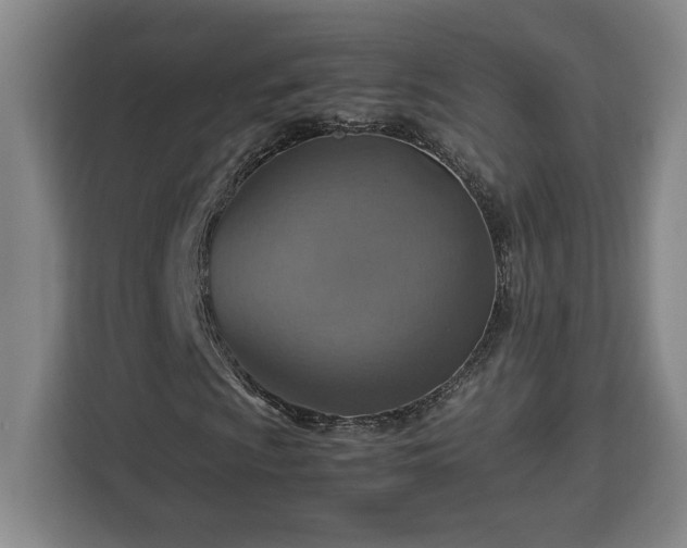 X0000112951009200908311505